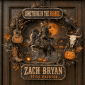 ZBR Decorative Wreath NTVA